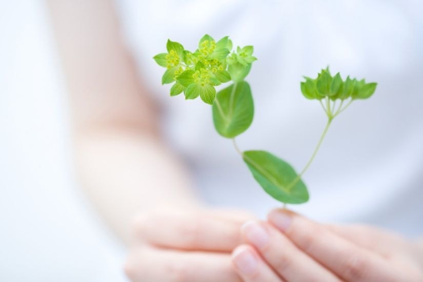 石川・金沢の探偵・興信所｜安心と信頼をカタチに｜かがやき探偵社代表挨拶