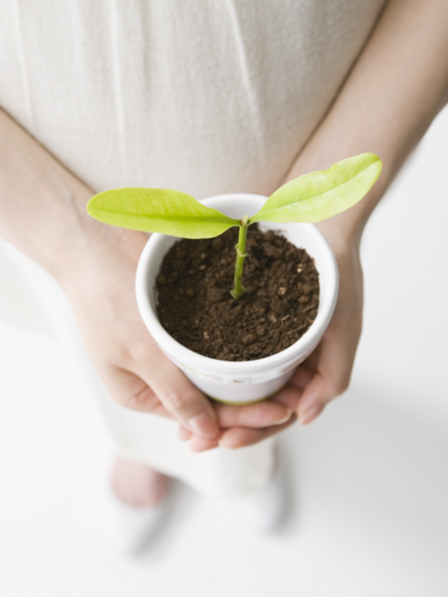 会社｜石川・金沢の探偵・興信所