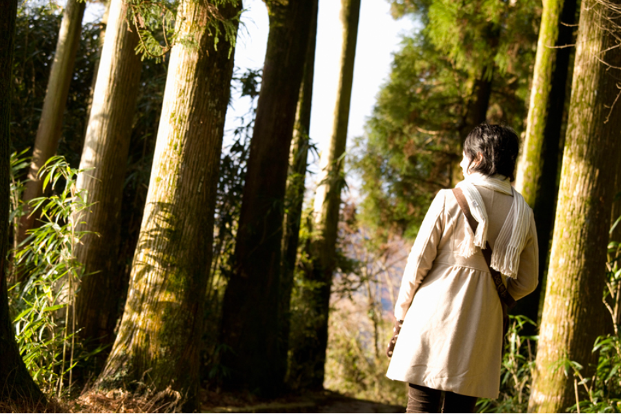 家出調査・行方調査・所在調査｜適正料金｜石川・金沢の探偵・興信所