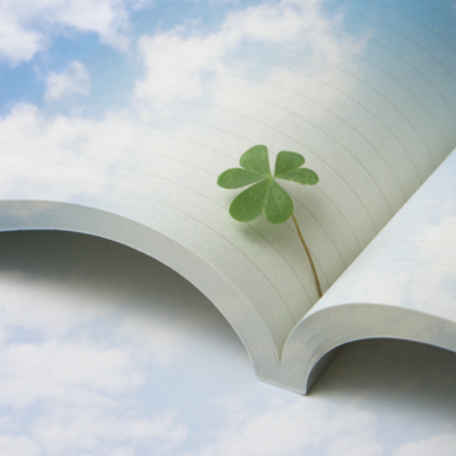 業務対応地域｜石川の探偵・興信所｜安心と信頼をカタチに｜かがやき探偵社