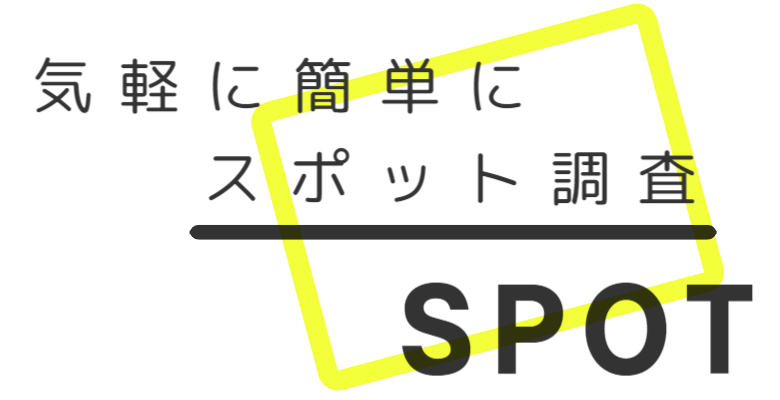 浮気調査｜料金｜スポット調査